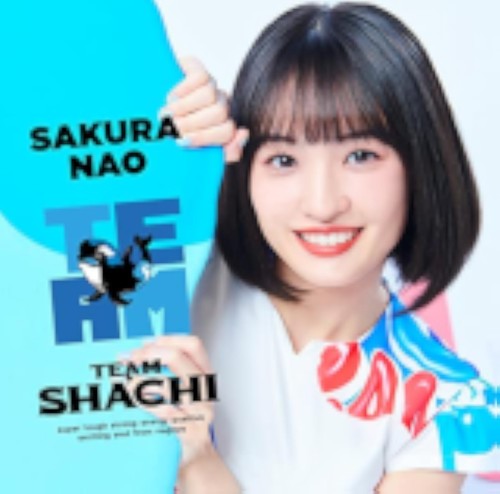 Team sakura nao edition - nao, edition]